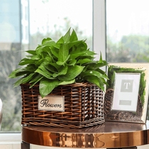Rattan straw woven wicker basket creative green flower pot flower arrangement flower basket hand woven multi-meat small flower pot