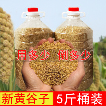 New yellow millet with shell millet 5kg bird food parrot feed tiger skin peony xuanfeng bird small and medium-sized birds