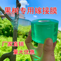 Grafting film Fruit tree stretch film Grafting plastic film Self-adhesive grafting tape Transparent stretch film Wire film