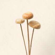 Mushroom cloud natural home decoration living room art dried flower fruit shooting props mushroom branch Nordic wind
