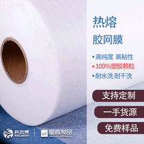 Hot melt adhesive mesh PA material Hot melt double-sided adhesive mesh factory direct water washing resistant