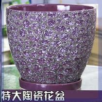 Kindergarten clearance Anthurium bedroom ceramic flower pot large orchid special pot extra large personalized living room high tube