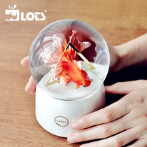 LOTS) JARLL Metamorphoa Goldfish Water Crystal Ball Music Box Octaonic Box Swivel Creative Birthday Gift Girls