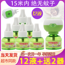 Electric mosquito repellent liquid set tasteless baby baby pregnant women household supplement liquid plug-in mosquito control water mosquito repellent artifact