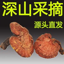 (Tmall Baozheng) Mountain Love Changbai Mountain Wild Big Red Ganoderma lucidum dry 250 grams