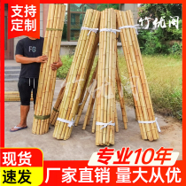 Anticorrosive decoration bamboo pole bamboo ceiling interior decoration material outdoor thickness dry bamboo pole vegetable garden rack