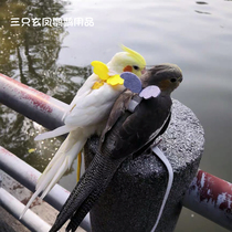 Parrot flying rope belted Parrot Bird training rope ultra light Starling flight suit flying rope traction rope