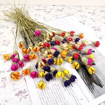 Dried flowers crape myrtle flower pistachios open smile art bouquet home European soft clothing eternal real flower art little fresh