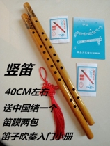 Musical instrument portable small horizontal play Xiao flute basic introduction beginner cross-blowing instrument clarinet whistle