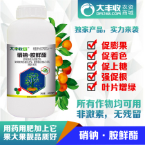 丰创严选3%硝钠·胺鲜酯调节生长生长调节剂