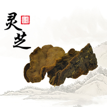 Lan Sheng Tang Tibet Wild Lingzhi Pine Conidium Lucid Lucid Lucid Lucid Lucid Lucid and Lucid Lucid powder tea health preserving 500 gr