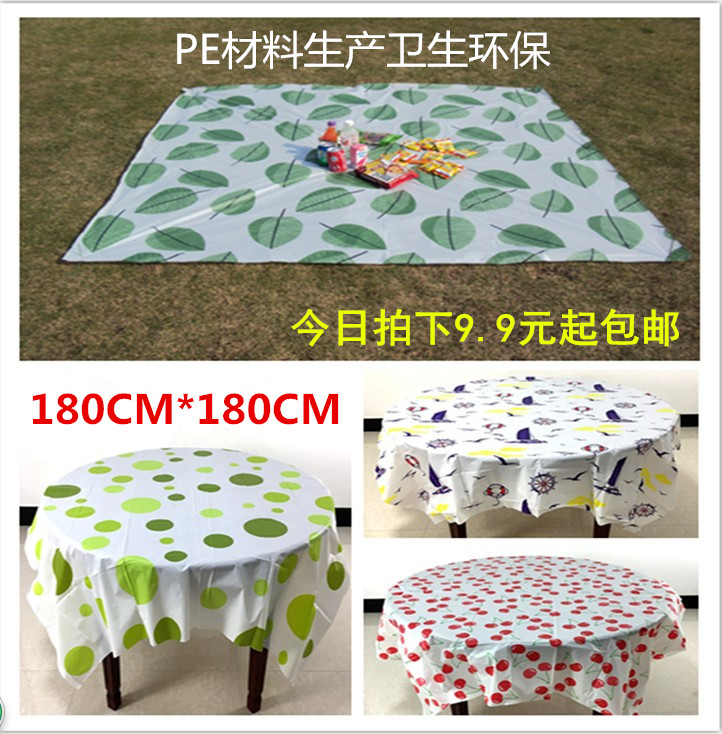 disposable picnic mat