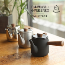 Japan imported Miyazaki made stainless steel retro matte brewing teapot emergency teapot with filter screen tea set