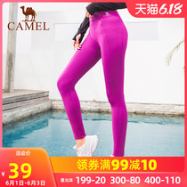 Clearance special sale camel sports knitting pants, breathable, soft, waistless, comfortable running pants, female