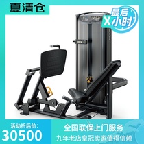 VS-S70 Biceps Quadriceps Gluteus Maximus Calf Press Leg Press