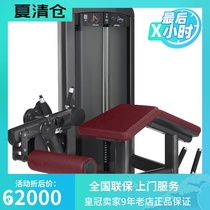 Original imported American Lijian LIFEFITNESS Insignia series thigh flexion trainer SS-LC