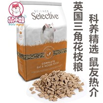 Spot British supreme sugar-free beauty hair and stomach big white fully synthetic flower branch mouse triangle food 1 5kg3 kg