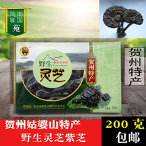 Guangxi Hezhou specialty mushroom Po Mountain Ecological Mountain planting mountain grass wild Ganoderma lucidum 200 grams gift box
