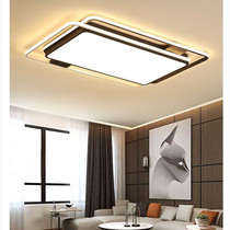 Light net living room ceiling light 999 yuan