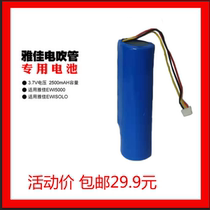 AKAI EWI 5000 5000SOLO Yajia electronic blowpipe battery Yajia 5000 electric blowpipe battery