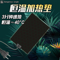 DJ reptile heating pad Spider scorpion guard pet snake heating chip insect box heating pad with temperature switch