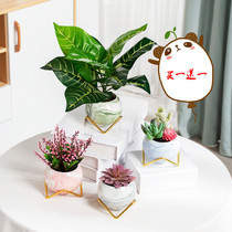 Hipster flowerpot fleshy pot Dali pattern flowerpot living room ornaments decorative electroplated flower stand ceramic pastoral