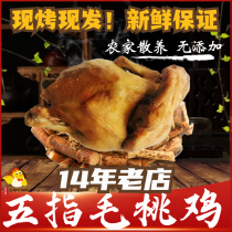 Five Fingers Gross Peach Chicken Guangdong River Source Hakka special delivery Ready-to-eat Roast Chicken Whole cooked food Hand ripping small food 500G