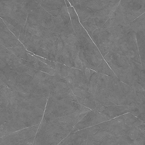 Wall and floor tile a808018q