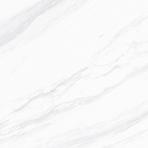 Wall and floor tile a808019q