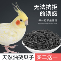 Spoonful of Peony Peony Tiger Leather parrot feed melon Sunflower Seed Oil Sunflower Seed Oil Sunflower Seed Bird Food Pet Birds snacks