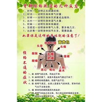 Beauty salon decorative painting health Hall poster publicity hanging painting beauty Health Club SPA advertising stickers wall mural