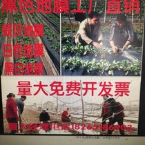 Black film Agricultural black film Weeding film Reflective film Two-color silver black greenhouse agricultural film black and white film
