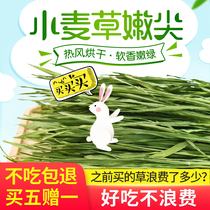 2021 Pet Rabbit Hay Wheat Grass chinchat Dutch pig drying pasture promotes gastrointestinal digestion 200g