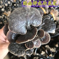 Wild Ganoderma lucidum Hainan bamboo Ganoderma lucidum selected long feet small red Ganoderma lucidum dry goods fungus fragrance 500g