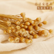 Happy Flowers dry flower Photography Pendulum Swatts ornaments Decorative Background Breakfast Cake Gourmet Shooting PHOTO PROPS FLOWERS