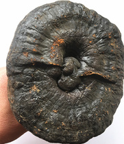 Wild Lucid Lingzhi Tibet has a handle purple lingzhi whole Lingzhi Zhi Lingzhi Powder Lingzhi powder Lingzhi Tea 250g95 Yuan