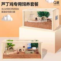 Luding Chicken Rearing Box Solid Wood Incubator Breeding Special Cage Fermentation Bed Hamster Quail 60 Plan View Supplies