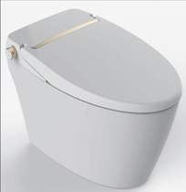 Actually House Changzhi Shop Huida Bathroom HDE3003 Smart Toilet