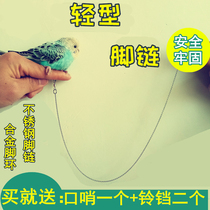Parrot anklet anklet chain stainless steel bird chain live buckle Starling peony Xuanfeng tiger skin Open Circle station stand bird supplies