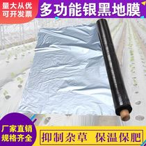Fruit tree two-color silver black film reflective weeding insect-proof moisturizing agricultural film Black film grape silver gray film