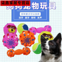 Pet dog toy ball vocal molars bite-resistant training Teddy than bear puppies cat toys supplies dog bite glue