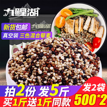 Buy 1 get 1 free A total of 1000g quinoa three-color mixed quinoa rice Red white black Qinghai Li Mai rice whole grains Whole grains