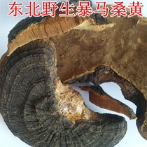 Northeast Changbai Mountain Wild Phellinus Yellow Tree Yellow Ganoderma lucidum Thunma Clove Yellow Whole Processable Tablets 500g
