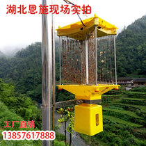 Longhao Outdoor Frequency-Vibration Type Agricultural Orchard Rice Field Insect-Killing Lamp Fishpond Breeding Trap Lamp Intelligent Insect Repellent