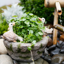 Copper grass hydroponic flower pot creative ducklings ornaments personalized decoration balcony layout garden courtyard terrace fish farming