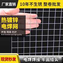 Barbed wire fence galvanized welded mesh breeding net anti-rat mesh steel wire isolation mesh fence grid corn net