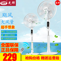 Pioneer electric fan DD1605/FS40-16ER remote control timing household floor fan large wind lift 12 leaf fan