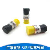 High quality QXF-5 type inflatable valve NXQ series accumulator inflatable nozzle nitrogen-filled check valve