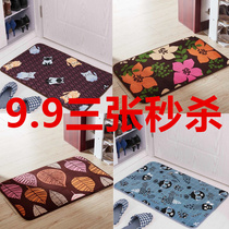 Spike entry mat Entry carpet doormat Bedroom Kitchen Bathroom Bathroom door