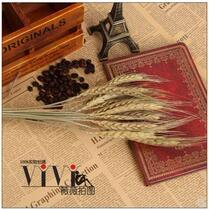 Gourmet props ornaments primary color retro dried flowers dried branches wheat seedlings jewelry jewelry food dessert ox year photo props